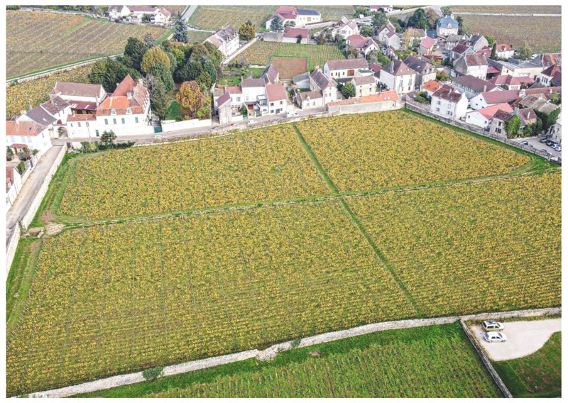 I vigneti di Gevrey Chambertin