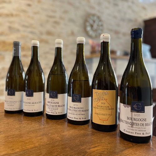 Domaine Charles Père et Fils: la degustazione