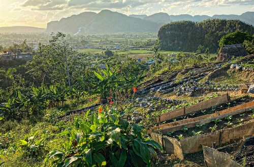 La Valle di Vinales