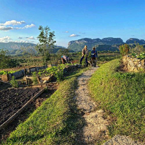 La Valle di Vinales