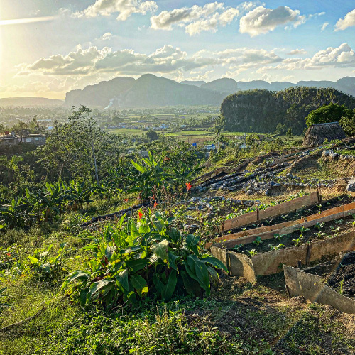 La Valle di Vinales