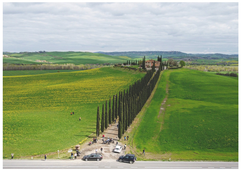 I cipressi di Poggio Covili