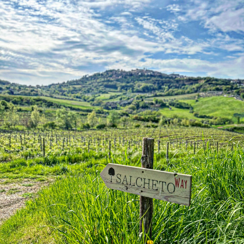 Montepulciano e i suoi vigneti