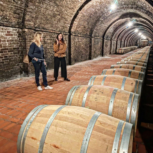 Le cantine di Montepulciano: Avignonesi