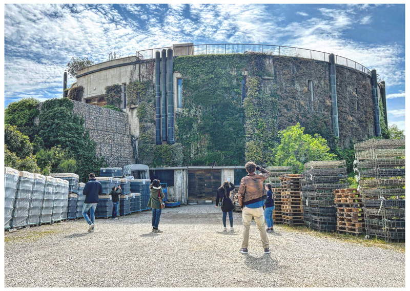 Salcheto, la cantina ecosostenibile