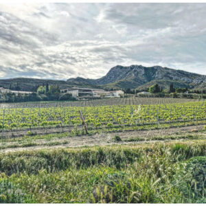 Le migliori cantine da visitare in Provenza