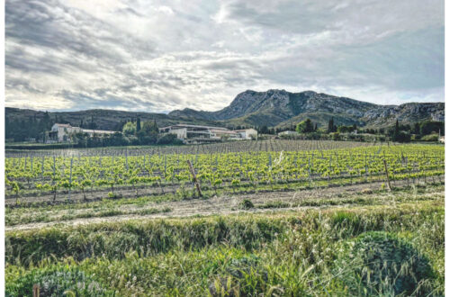 Le migliori cantine da visitare in Provenza